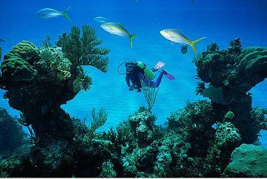 模拟经营游戏《工厂直销模拟器》Steam页面 支持简体中文